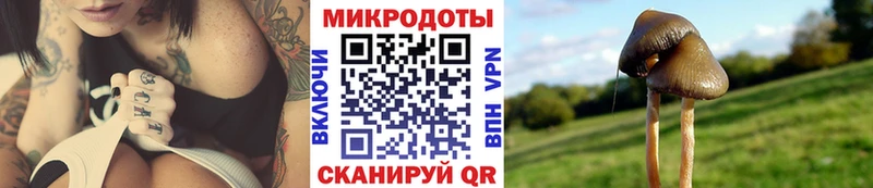 blacksprut tor Яблоновский Псилоцибиновые грибы Psilocybine cubensis где можно купить наркотик